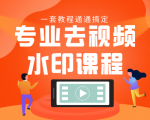 专业去视频水印教程 静态水印、动态水印、文字水印、图片水印一套教程通通搞定天风资源网,提供全网火热网站资源、培训资料、课程、创业教程天风资源网