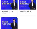 湛北·抖音小店入门进阶高阶合集，八大玩法打造百万店铺天风资源网，提供全网火热网站资源、培训资料、课程、创业教程天风资源网