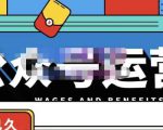 零零已久·从0-1运营公众号,零基础小白也能上手,系统性了解公众号运营天风资源网,提供全网火热网站资源、培训资料、课程、创业教程天风资源网