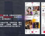 麦子互娱短视频带货·0基础做好物分享账号，无需出镜无需货源无需拍摄天风资源网，提供全网火热网站资源、培训资料、课程、创业教程天风资源网