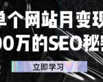 单个网站月变现100万的SEO秘密，百分百做出赚钱站点天风资源网，提供全网火热网站资源、培训资料、课程、创业教程天风资源网