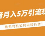 老古董·抖音月入5万引流玩法，看看老司机如何玩转抖音(附赠：抖音另类引流思路)天风资源网，提供全网火热网站资源、培训资料、课程、创业教程天风资源网