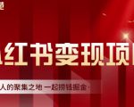 渣圈学苑·小红书虚拟资源变现项目，一起捞钱掘金价值1099元天风资源网，提供全网火热网站资源、培训资料、课程、创业教程天风资源网