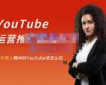 外国人眼中的YouTube该怎么玩？Elisa·YouTube运营推广实战技巧天风资源网，提供全网火热网站资源、培训资料、课程、创业教程天风资源网