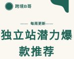 【跨境B哥】独立站潜力爆款选品推荐，测款出单率高达百分之80天风资源网，提供全网火热网站资源、培训资料、课程、创业教程天风资源网