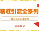 闲鱼精准引流全系列课程，每天引流100精准粉【视频课程】天风资源网，提供全网火热网站资源、培训资料、课程、创业教程天风资源网