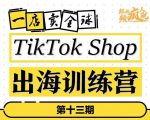 TikTokShop出海训练营（第十三期），打开全球流量新思维，出海抢占全球新流量，一店卖全球天风资源网，提供全网火热网站资源、培训资料、课程、创业教程天风资源网