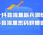 Peter抖音流量新兵训练营-破解抖音流量密码群爆训练营（新兵）天风资源网，提供全网火热网站资源、培训资料、课程、创业教程天风资源网