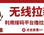 最新接码无限拉新项目，利用接码平台赚拉新平台差价，轻松日赚500+天风资源网，提供全网火热网站资源、培训资料、课程、创业教程天风资源网