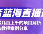 抖音最新蓝海直播玩法,3分钟赚30元,一天轻松1000+,只要你去直播就行【详细玩法教程】天风资源网,提供全网火热网站资源、培训资料、课程、创业教程天风资源网