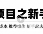 虚拟项目快速起店模式，0成本打造月入几万虚拟店铺！天风资源网，提供全网火热网站资源、培训资料、课程、创业教程天风资源网