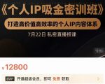 个人IP吸金密训班，打造高价值高效率的个人IP内容体系（价值12800元）天风资源网，提供全网火热网站资源、培训资料、课程、创业教程天风资源网