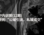 新媒体IP内训营(12期),一套全新的“公域引流,私域成交”IP打法,直接带走天风资源网,提供全网火热网站资源、培训资料、课程、创业教程天风资源网
