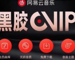 网易云音乐撸黑胶年卡及变现方法，收益可无限放大天风资源网，提供全网火热网站资源、培训资料、课程、创业教程天风资源网