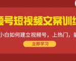 视频号短视频文案训练营：0基础小白如何建立视频号，上热门，能卖货！天风资源网，提供全网火热网站资源、培训资料、课程、创业教程天风资源网