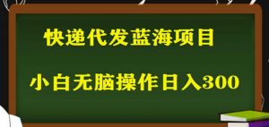 2023最新蓝海快递代发项目,小白零成本照抄也能日入300+天风资源网,提供全网火热网站资源、培训资料、课程、创业教程天风资源网