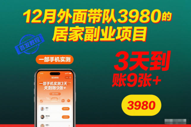 12月外面带队3980的居家副业项目，一部手机实测3天到账9张+，首发教程【揭秘】天风资源网，提供全网火热网站资源、培训资料、课程、创业教程天风资源网