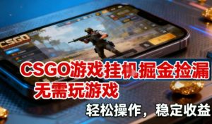 CSGO游戏挂G掘金捡漏,不需要玩游戏,操作简单,收益稳定【揭秘】天风资源网,提供全网火热网站资源、培训资料、课程、创业教程、虚拟资料、电商网站天风资源网
