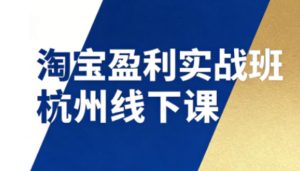 淘宝盈利实战班杭州线下课12月26-28日（音频+字幕），帮你掌握SOP流程+12门核心技术-天风资源网