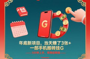 年底新项目，当天賺了3张+，一部手机搬砖挂G，5分钟上手，保姆级教程【揭秘】-天风资源网
