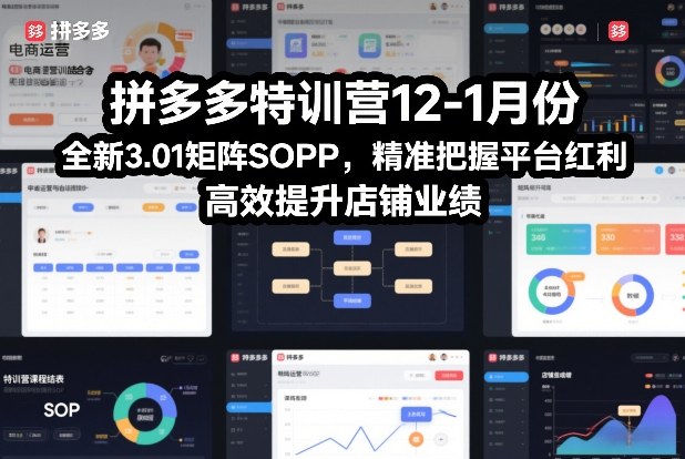 拼多多特训营12-1月份，全新3.01矩阵Sop，精准把握平台红利，高效提升店铺业绩-天风资源网