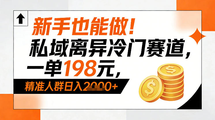 新手也能做！私域离异冷门赛道，一单198，精准人群日入1k+-天风资源网