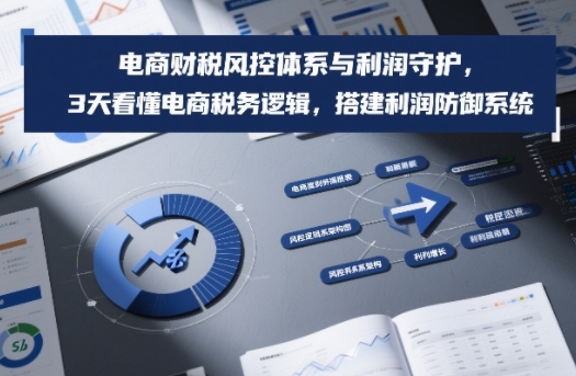 电商财税风控体系与利润守护，3天看懂电商税务逻辑，搭建利润防御系统-天风资源网