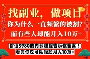 价值3980的网创内部课程，告诉你互联网创业月入10个W的秘密【揭秘】-天风资源网