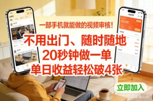 一部手机就能做的视频审核！不用出门，随时随地，20秒钟做一单，单日收益轻松破4张【揭秘】-天风资源网