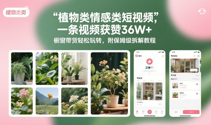 植物类情感类短视频，一条视频获赞36W+，橱窗带货轻松玩转，附保姆级拆解教程-天风资源网