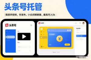 头条号AI托管，我提供视频，你发布，小白闭眼躺賺，最高月入5k+【揭秘】-天风资源网