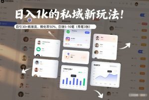 日入1k的私域新玩法：日引30+精准流，转化率50%，日销5-10笔（单笔3张）-天风资源网