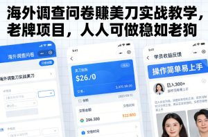 海外调查问卷賺美刀实战教学,老牌项目,人人可做稳如老狗-天风资源网