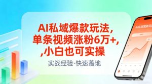 AI私域爆款玩法,单条视频涨粉6W+,小白也可实操-天风资源网