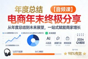 电商年未终极分享，从年度总结到未来展望，一站式赋能商家增长【音频课】-天风资源网