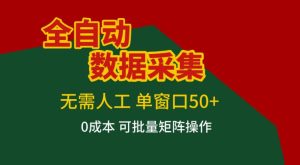 全自动数据采集，无需人工，单窗口50+，0成本可批量矩阵操作【揭秘】-天风资源网