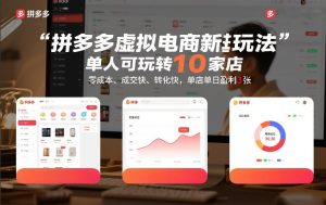 拼多多虚拟电商新玩法，单人可玩转10家店，零成本、成交快、转化快，单店单日盈利3张【揭秘】-天风资源网