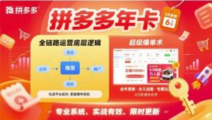 拼多多年卡，拼多多全链路运营底层逻辑，超级爆单术【更新26年1月】-天风资源网