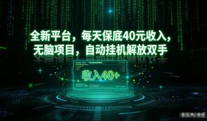 最新看广平台，每天保底30-4米，无脑项目，自动挂G解放双手【揭秘】-天风资源网