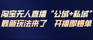 淘宝无人直播完整教程,公试+私域,最新玩法来了,开播即爆单-天风资源网