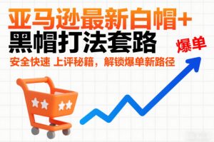 亚马逊最新白帽+黑帽打法套路,安全快速上评秘籍,解锁爆单新路径-天风资源网