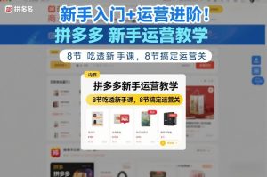 新手入门+运营进阶！拼多多新手运营教学，8节吃透新手课，8节搞定运营关-天风资源网