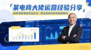 某电商大佬运营经验分享,最新系统电商实战玩法,跳出低毛利实现高效盈利-天风资源网