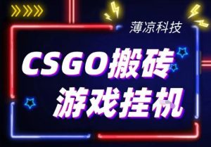 CSGO游戏挂G游戏搬砖最新升级，普通小白一部手机可日入3张+当天见结果，支持验证【揭秘】-天风资源网
