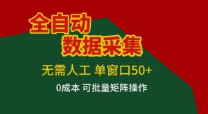 全自动数据采集项目，无需人工，单窗口可达50+收益，操作简单无难度，一个人也能轻松实现矩阵【揭秘】-天风资源网