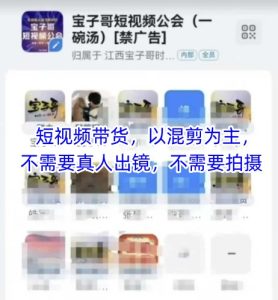宝子哥头部团队短视频带货,以混剪为主,不需要真人出镜,不需要拍摄【更新26年3月】-天风资源网