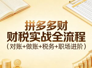 拼多多财税实战全流程（对账+做账+税务+职场进阶）-天风资源网