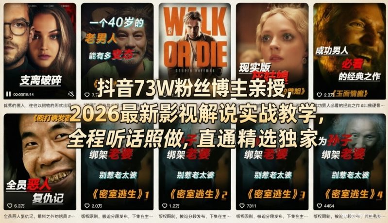 抖音73W粉丝博主亲授，2026最新影视解说实战教学，全程听话照做，直通精选独家-天风资源网