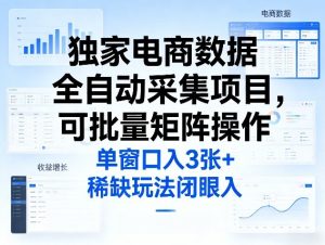独家电商数据全自动采集项目，可批量矩阵操作，单窗口日入3张+，稀缺玩法闭眼入【揭秘】-天风资源网