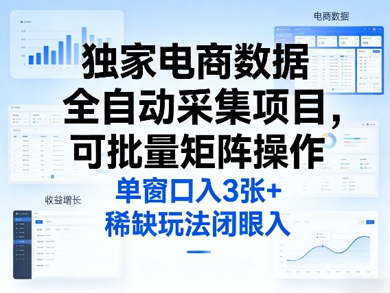 独家电商数据全自动采集项目，可批量矩阵操作，单窗口日入3张+，稀缺玩法闭眼入【揭秘】-天风资源网